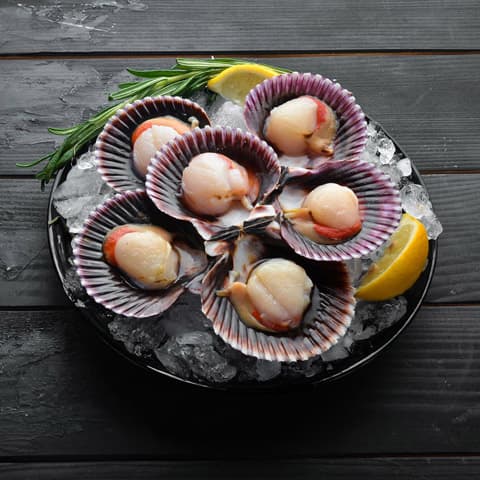 Airiños Restaurante: Tu destino gastronómico con vistas al mar